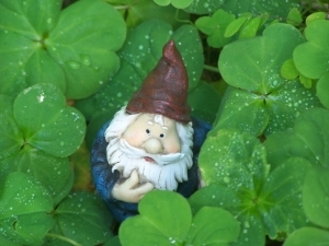 Underpants Gnome